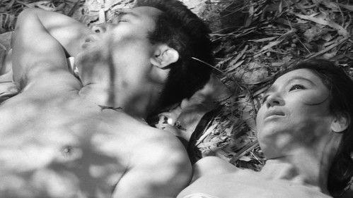 Flame in Valley filmas žiurėti online