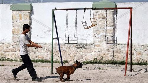 Lake Tahoe filmas žiurėti online