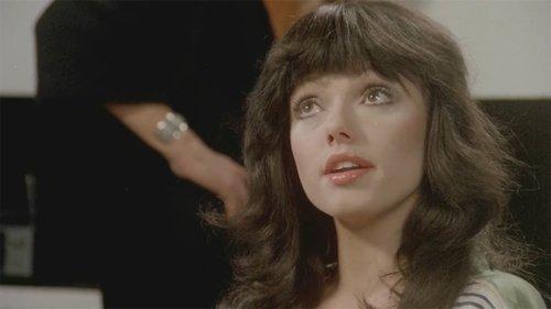 Sensual Encounters of Every Kind filmas žiurėti online