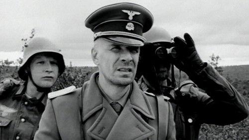 Kummeli Kultakuume filmas žiurėti online