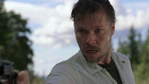 Cry in the Woods filmas žiurėti online