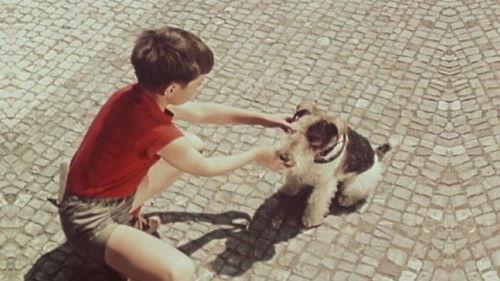 Punta and the Four-Leaf Clover filmas žiurėti online