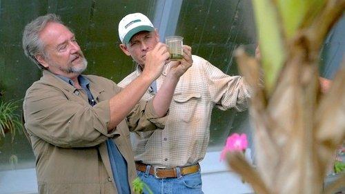 The Need to Grow filmas žiurėti online