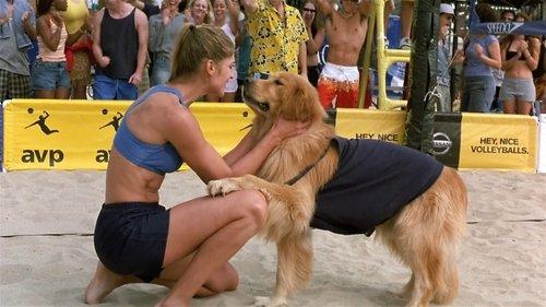 Air Bud: Spikes Back filmas žiurėti online