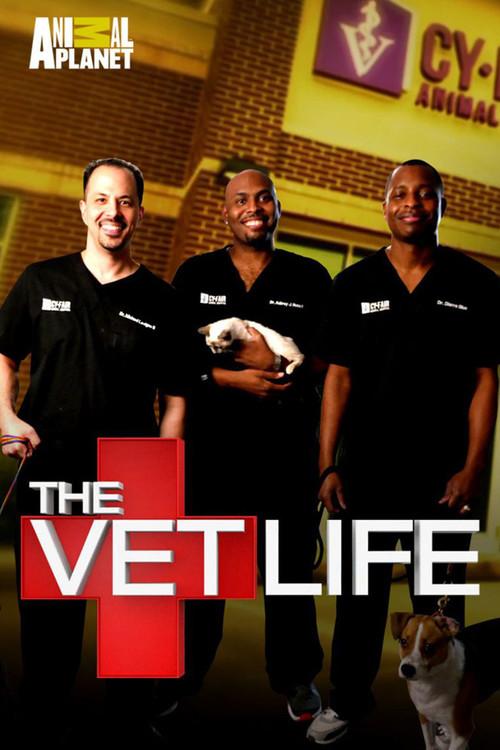 The Vet Life filmas online