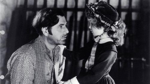 The Prisoner of Shark Island filmas žiurėti online