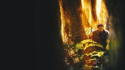 The Cost filmas žiurėti online