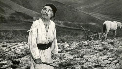 The Stone Cross filmas žiurėti online