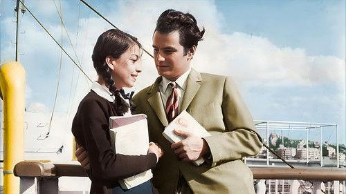 The Last Birds filmas žiurėti online