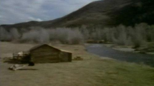 In Search of a Golden Sky filmas žiurėti online