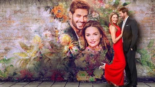 South Beach Love filmas žiurėti online