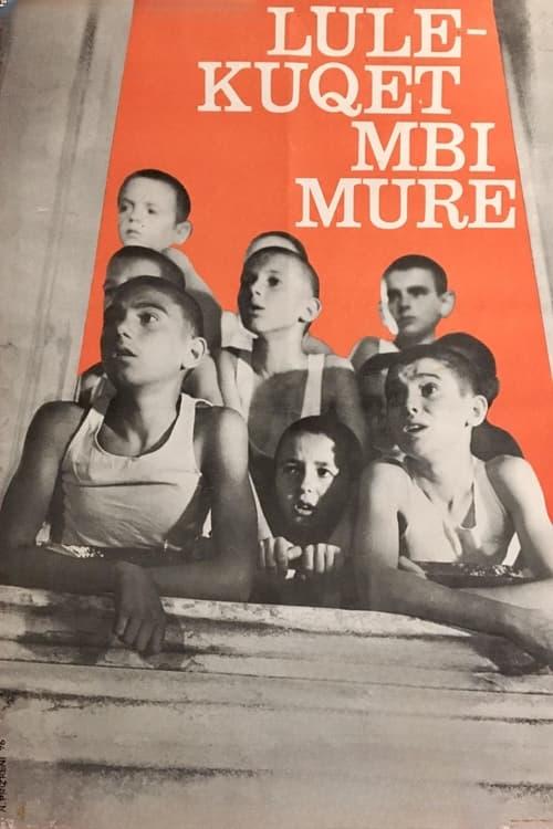 Red Poppies on the Wall filmas online