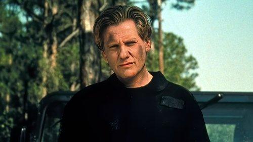 The Librarians filmas žiurėti online