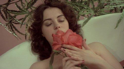 Rolls-Royce Baby filmas žiurėti online