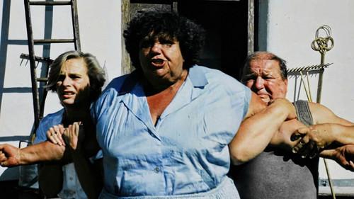 Sun, Hay and a Couple of Slaps filmas žiurėti online