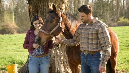 Vote One for Love filmas žiurėti online