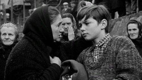 If I Had a Gun filmas žiurėti online