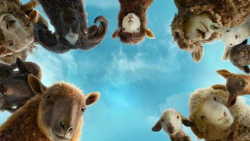 Avys Detektyvės filmas žiurėti online