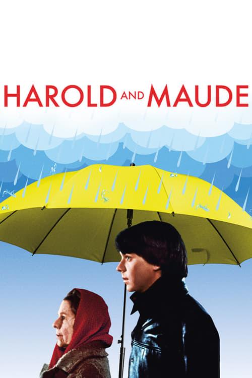 Harold and Maude filmas online