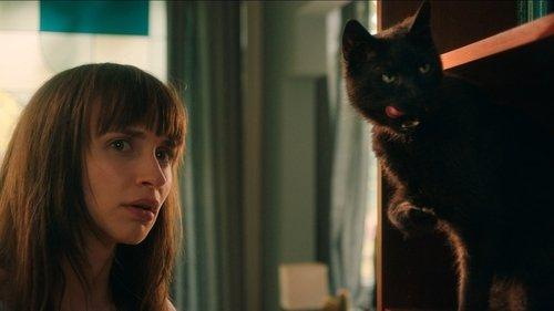 Cat Call filmas žiurėti online