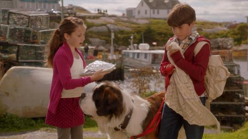 Beethoven's Treasure Tail filmas žiurėti online