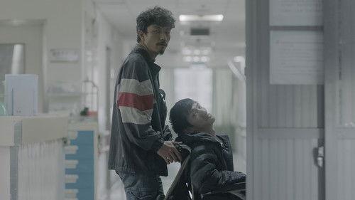 Mongrel filmas žiurėti online