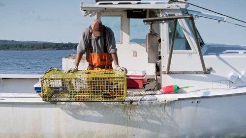 The Ghost Trap filmas žiurėti online