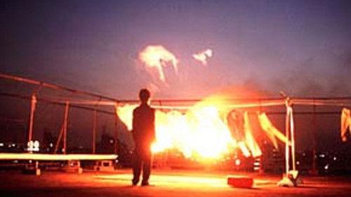 BORDER LINE filmas žiurėti online