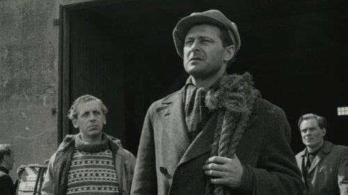 The Blinded filmas žiurėti online