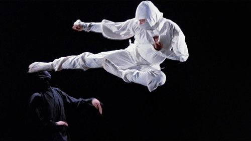 Enter the Ninja filmas žiurėti online