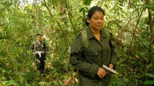 Guérilla des FARC, l'avenir a une histoire filmas žiurėti online