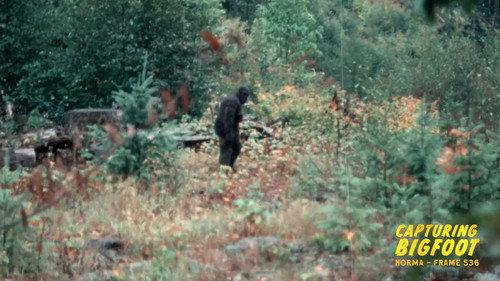 Capturing Bigfoot filmas žiurėti online