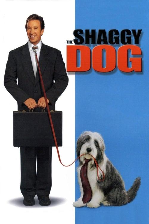 The Shaggy Dog filmas online