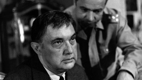 Nahá pastýřka filmas žiurėti online