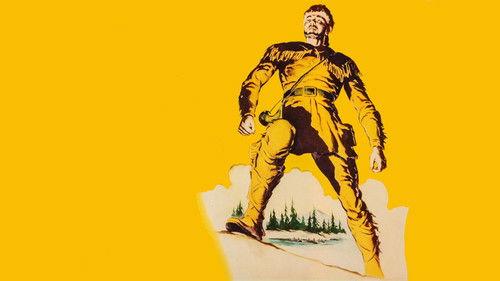 Hudson's Bay filmas žiurėti online