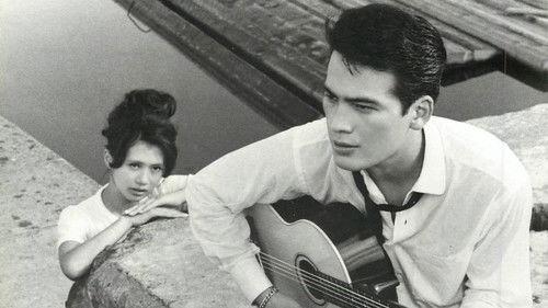 A Flame at the Pier filmas žiurėti online