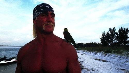 McCinsey's Island filmas žiurėti online