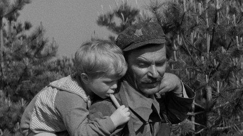 Don't Cry, Peter filmas žiurėti online