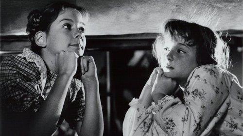 Don't Go to Sleep filmas žiurėti online