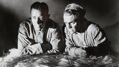 Each Dawn I Die filmas žiurėti online