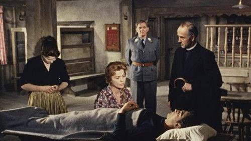 The Perjured Farmer filmas žiurėti online