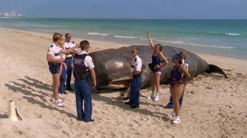 Reno 911!: Miami filmas žiurėti online