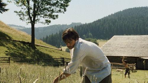 Stíny horkého léta filmas žiurėti online