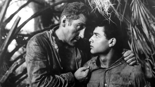 The Young Don't Cry filmas žiurėti online