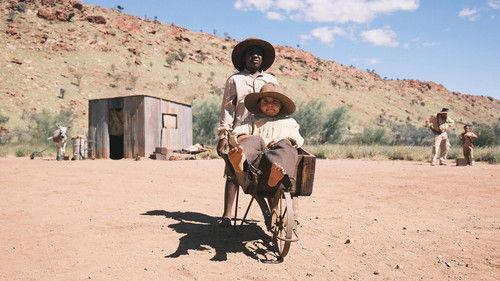 Wolfram filmas žiurėti online