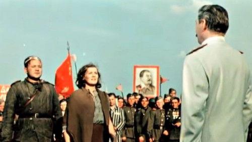 Падение Берлина filmas žiurėti online