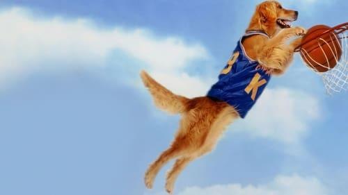 Air Bud filmas žiurėti online