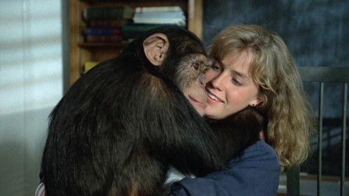 Link filmas žiurėti online