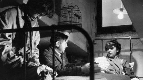 Segundo López, aventurero urbano filmas žiurėti online