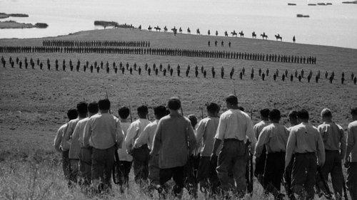 The Red and the White filmas žiurėti online